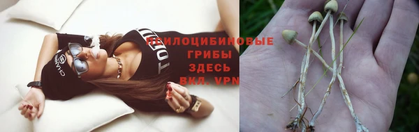 герыч Алексеевка